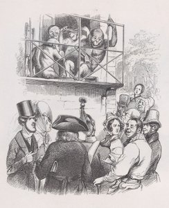 Orangutánok Béranger teljes műveiből, 1836. alkotó: Jean Ignace Isidore Gérard