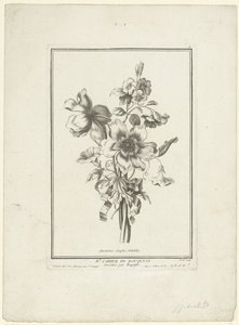 Csokor kökörcsin és rózsafű Anemones simples, Volubilis (cím a tárgyon) IIe Cahier de Bouquets (sorozat címe) alkotó: Jean Jacques Avril (I)