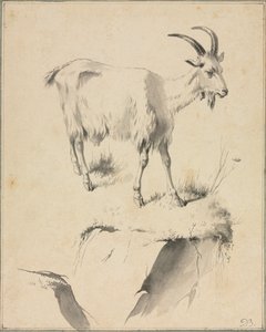 Tanulmány egy kecskéről, 1700-as évek. alkotó: Jean Jacques de Boissieu