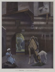 Camel Driver (színes litho)