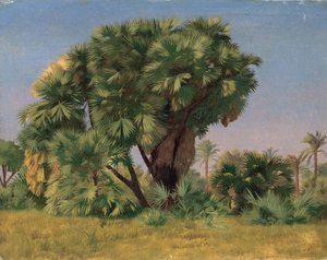 Pálmafák tanulmányozása alkotó: Jean Leon Gerome