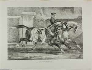 Horses Exercising, 6. lemez, különböző témákból, életből és kőből rajzolva (The English Suite) alkotó: Jean Louis André Théodore Géricault