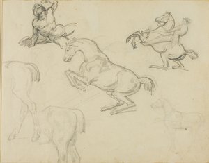 Vázlatok: Lovas és különböző lovak alkotó: Jean Louis André Théodore Géricault