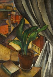 Az Aspidistra, 1912 körül (olaj, vászon)