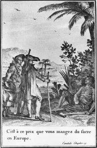 „Ezen az áron eszik cukrot Európában”, illusztráció Francois Voltaire (1694-1778) „Candide” című művének 19. fejezetéből, Pierre Charles Baquoy (1759-1829) metszetében, 1787 (metszet) (f/w fotó)