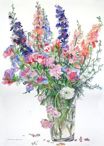 Ranunculus, Godetia, Delphiniums, 2000 (akvarell és tinta, papír)