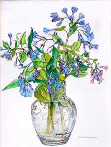 Virginia Blue Bells in Narrow Necked Vase, 2006 (akvarell és tinta, papír)