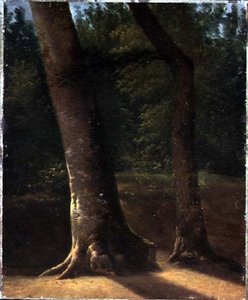 Study of Trees, 1815 körül (olaj, papír) alkotó: Jean Victor (attr. to) Bertin