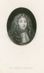 A Grand Dauphin