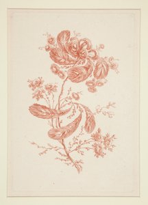 Cím nélkül (Ideal Flowers), hatos készletből