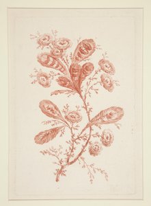 Cím nélkül (Ideal Flowers), hatos készletből
