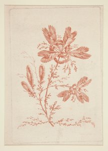 Cím nélkül (Ideal Flowers), hatos készletből