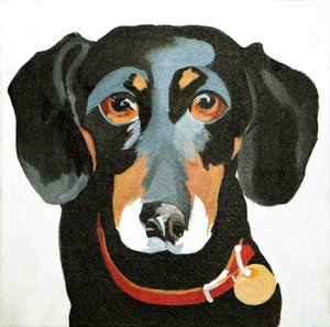 Buster, 2012 (akril, vászon)
