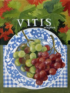 Vitus (szőlő), 2014 (akril, vászon) alkotó: Jennifer Abbott