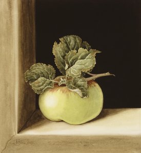 Apple (wc papíron)