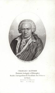 Charles Bonnet alkotó: Jens Juel
