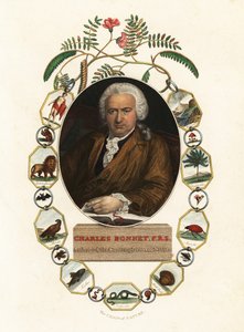 Charles Bonnet genfi természettudós portréja.1803 (metszet)