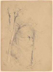 Kaaterskill szegfűszeg alkotó: Jervis McEntee