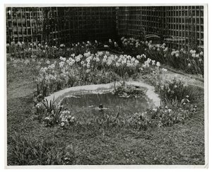 Garden of Mr & Mrs Wm H Wells 265 W 11th St, New York, USA alkotó: Jessie Tarbox Beals