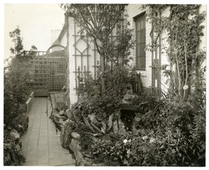 Regina Jais asszony kertje, 1936-37 körül (zselatin ezüst fotó) alkotó: Jessie Tarbox Beals