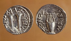 Érmék a Bar Kochba-lázadásból, 134-135 (fém)