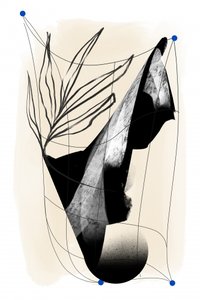  alkotó: Jilli Darling