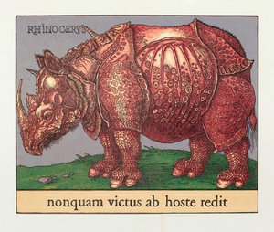 Vörös orrszarvú, 2007 (fametszet) alkotó: Jim Monson