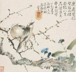 Egy pár kínai Bulbul madár, 1857