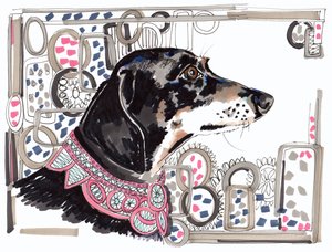 Lacey, a tacskó, 2013, (toll, tinta papíron)