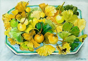 Ginkgo, gyümölcs és levelek, 2010, akvarell alkotó: Joan Thewsey