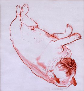 Hogarth Sleeping, 2005, (tinta nedves papíron) alkotó: Joan Thewsey