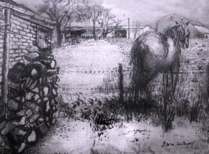 Ló pihenteti a lábát, 2000, (tinta nedves ingres papíron) alkotó: Joan Thewsey