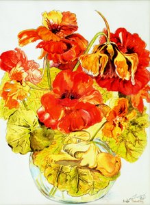 Nasturtiums, 2005, (vízfesték) alkotó: Joan Thewsey
