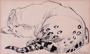 Sketch, Leopard, London Zoo 2005, (toll és tinta) alkotó: Joan Thewsey