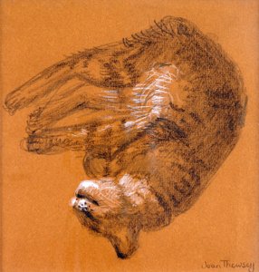 Sleeping Tabby Cat, 2005, (grafit és fehér pasztell) alkotó: Joan Thewsey