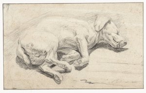 Fekvő kutya, alszik alkotó: Joannes Fijt (attributed to)