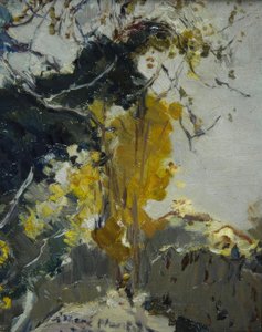Baum alkotó: Joaquim Mir i Trinxet