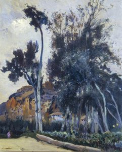 Miravet alkotó: Joaquim Mir i Trinxet