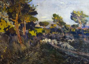 Névtelen alkotó: Joaquim Mir i Trinxet