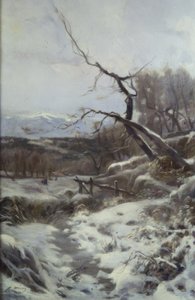 Téli alkotó: Joaquim Mir i Trinxet