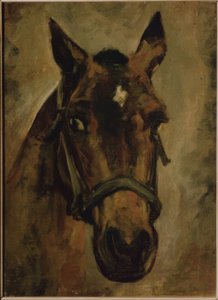 CABEZA DE CABALLO. Művész: JOAQUIN SOROLLA. Helyszín: MAGÁNGYŰJTEMÉNY, MADRID, SPANYOLORSZÁG alkotó: Joaquín Sorolla