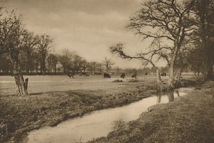Ahol Beverley Brook átszel a richmondi királyi vadászparkon, 1935.