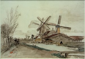 Stolki malmok, Rotterdam
