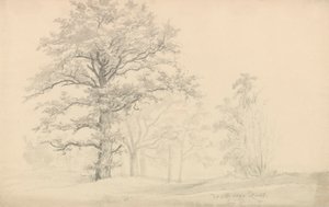 Lombhullató fák alkotó: Johan Christian Dahl
