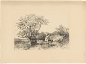 Táj farm