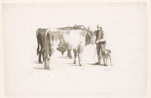 Férfi és kutya mellett két ökör, igával alkotó: Johan Jakob Biedermann
