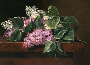 Lila a párkányon, alkotó: Johan Laurents Jensen