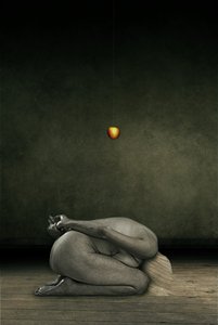 Saját magam elrejtése, 2013 (képmanipuláció) alkotó: Johan Lilja