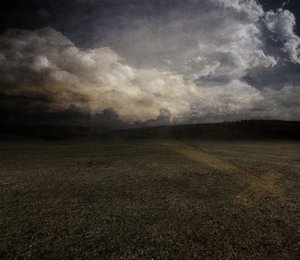 Tulipán, 2015 (fotó) alkotó: Johan Lilja
