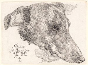 Dán: Hundehoved, Snip